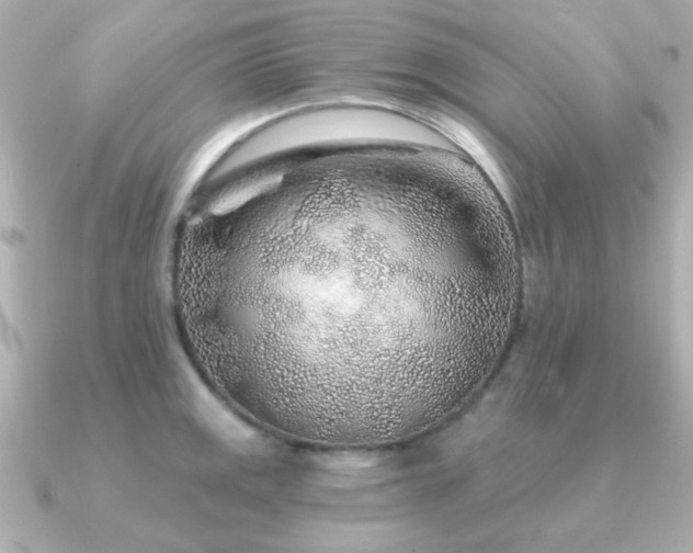 X0000091231141200708091413