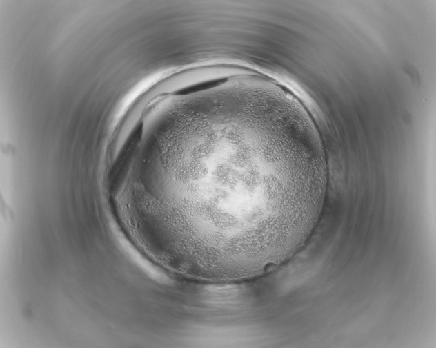 X0000091231142200708091413