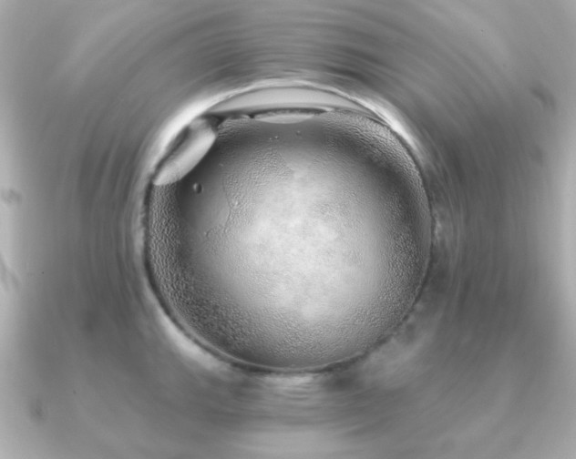 X0000091231143200708091413
