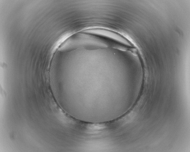 X0000091231145200708091413