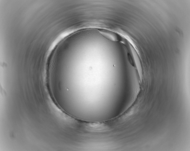 X0000091231147200708091413