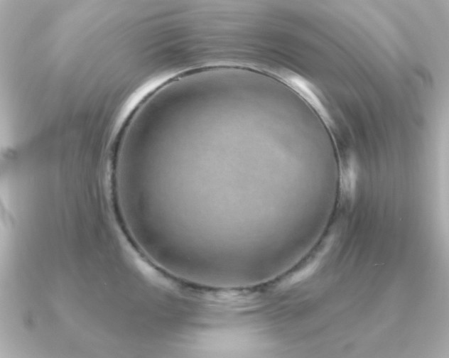 X0000091231149200708091413