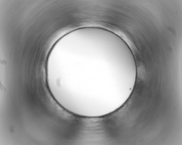 X0000091231150200708091413