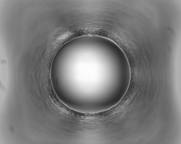 X0000091231153200708091412