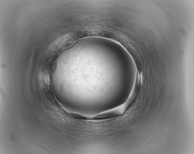 X0000091231155200708091412