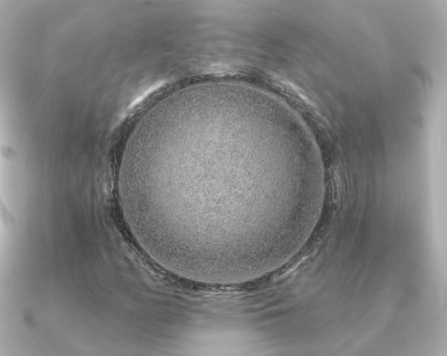 X0000091231158200708091412