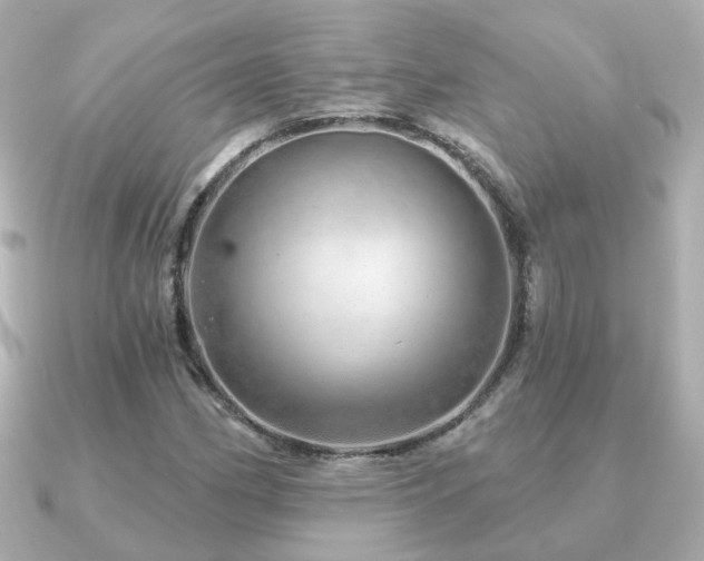 X0000091231162200708091412