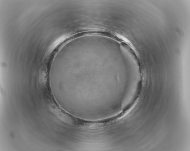 X0000091231163200708091412