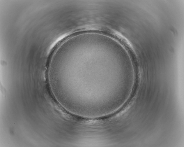 X0000091231166200708091412
