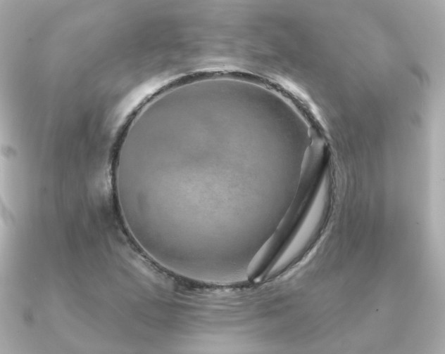 X0000091231167200708091412