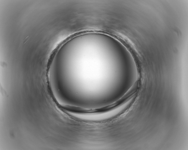 X0000091231168200708091412
