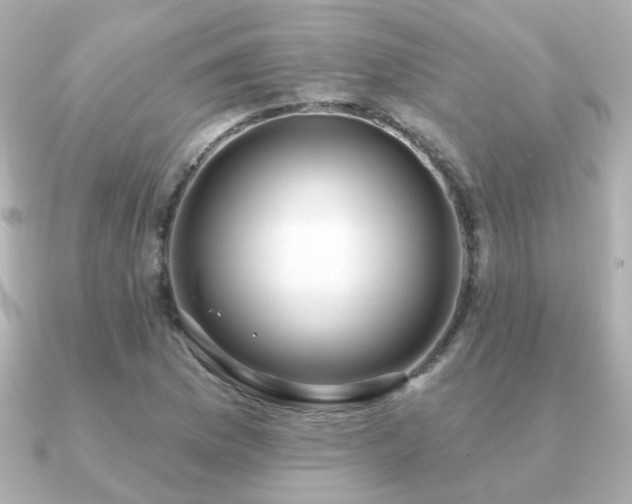 X0000091231169200708091412