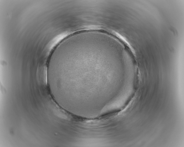 X0000091231171200708091412