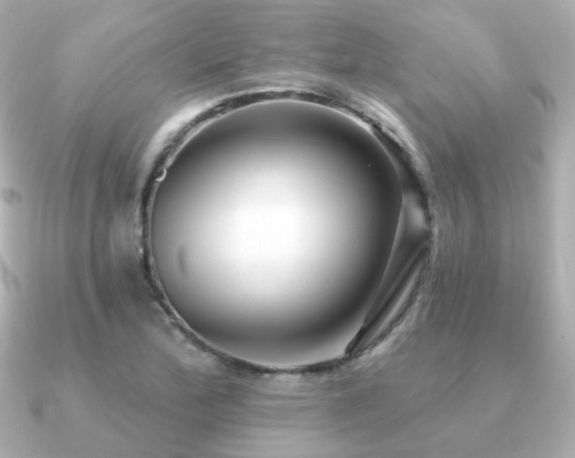 X0000091231172200708091412