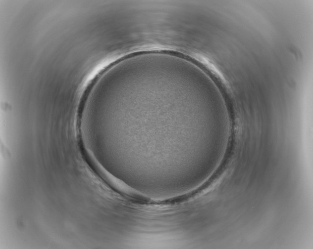 X0000091231173200708091412