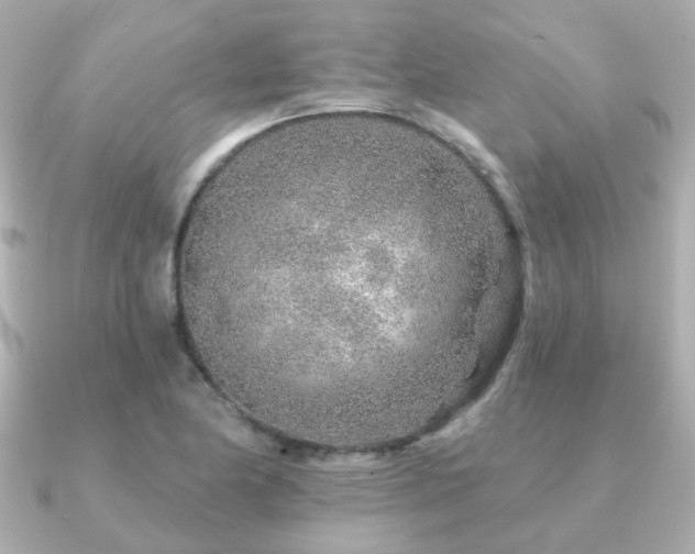 X0000091231174200708091412