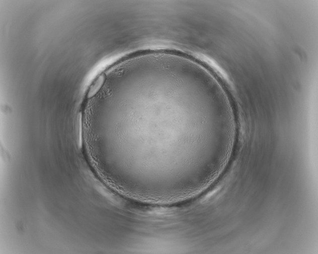 X0000091231175200708091412