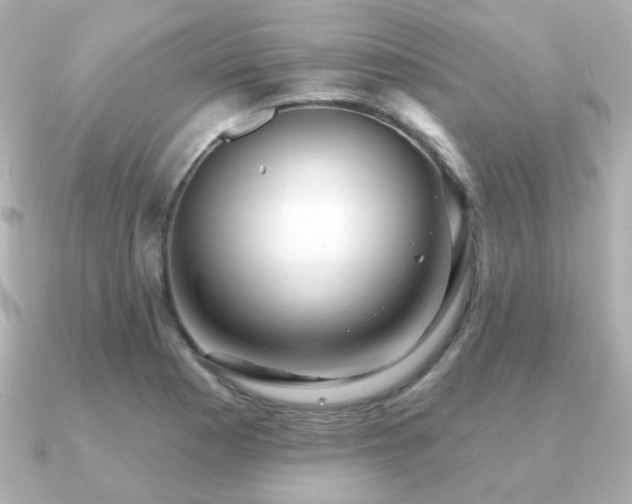 X0000091231177200708091412