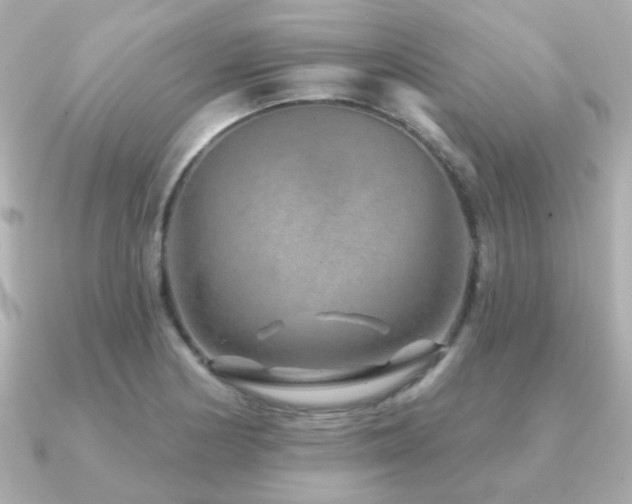 X0000091231178200708091412