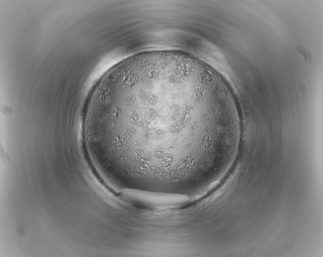 X0000091231179200708091412