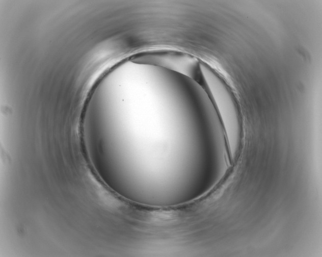 X0000091231181200708091412