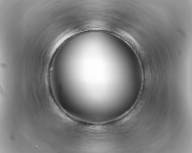 X0000091231182200708091412