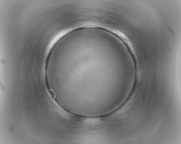 X0000091231183200708091412
