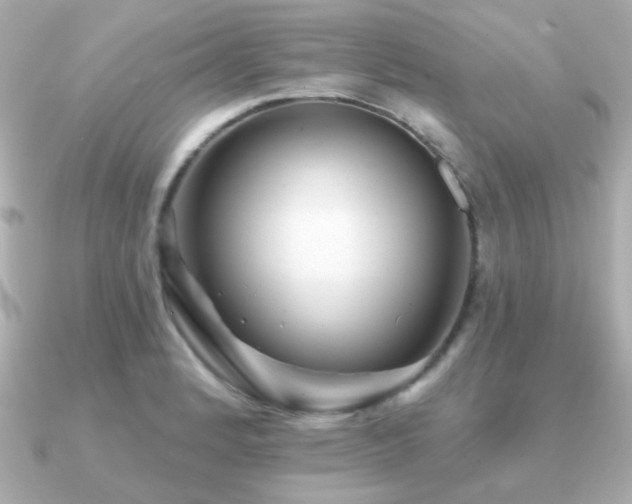 X0000091231184200708091412