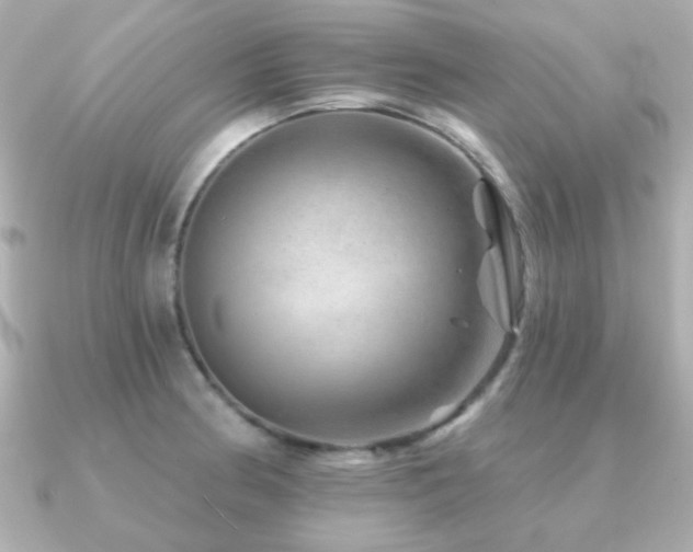 X0000091231186200708091412