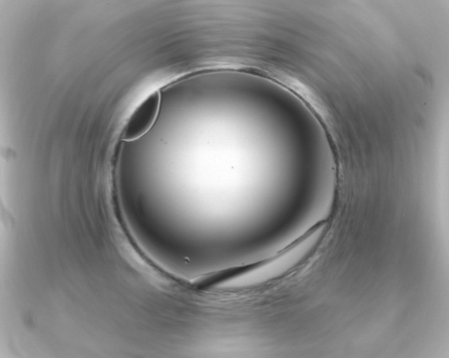 X0000091231187200708091412