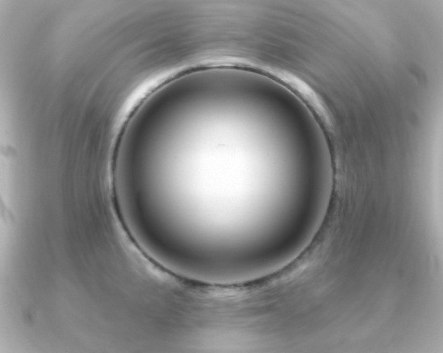 X0000091231191200708091412
