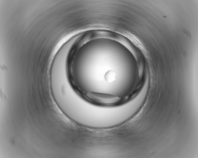 X0000091231192200708091412