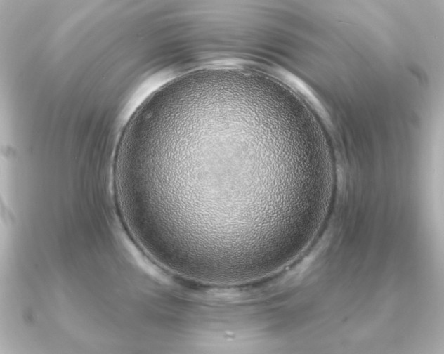 X0000091231194200708091412