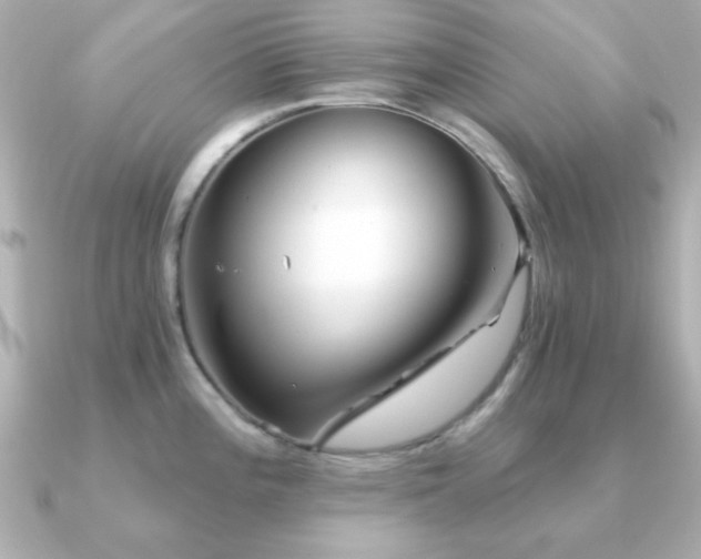 X0000091231196200708091412