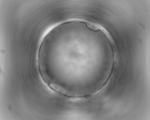 X0000091231199200708091412