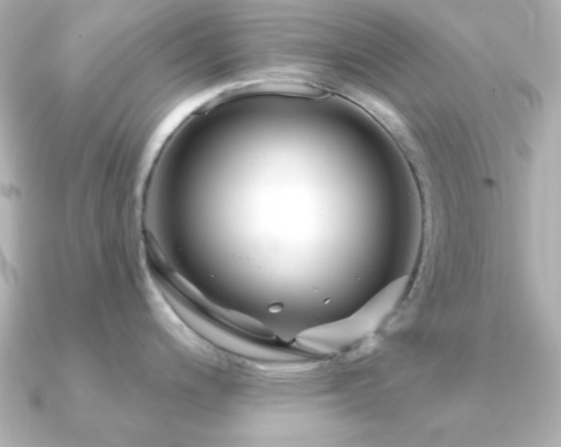 X0000091231200200708091412