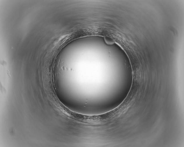 X0000091231201200708091411
