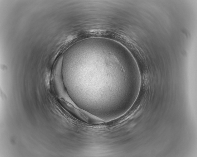X0000091231202200708091411