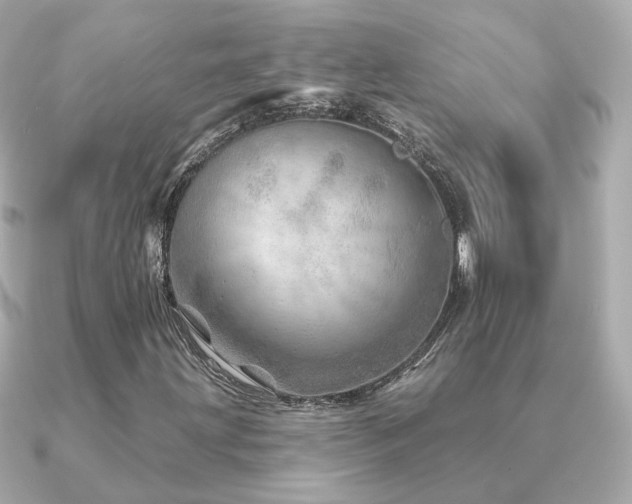X0000091231203200708091411