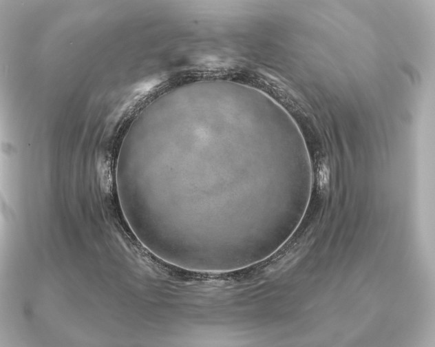 X0000091231204200708091411