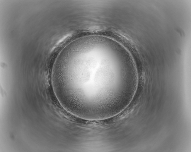 X0000091231205200708091411