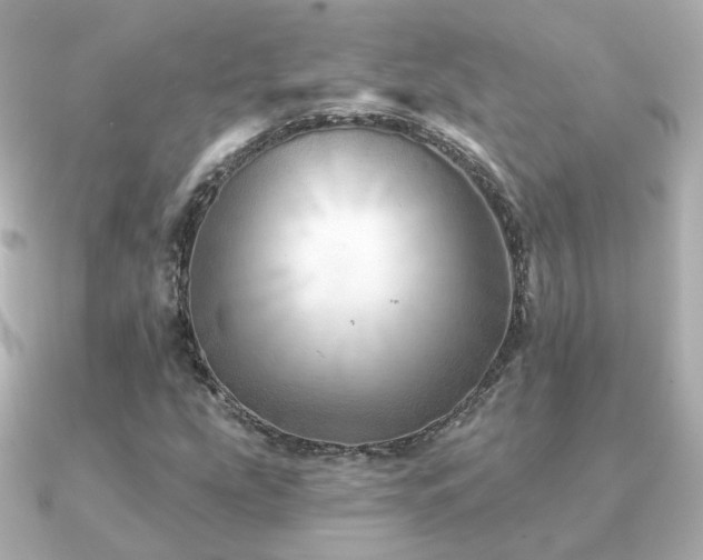 X0000091231207200708091411