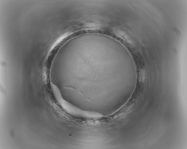 X0000091231208200708091411