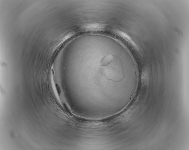 X0000091231209200708091411