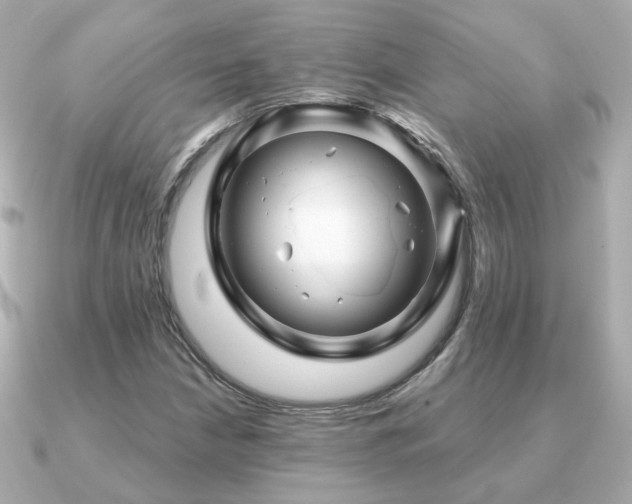 X0000091231210200708091411