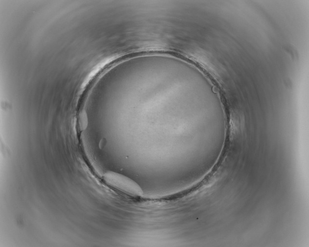 X0000091231212200708091412