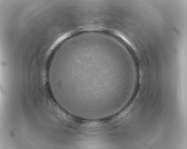 X0000091231213200708091412