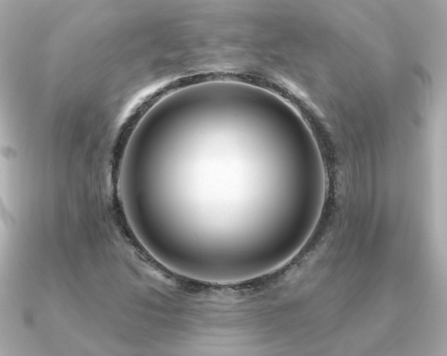 X0000091231214200708091412