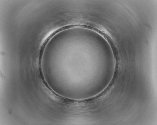 X0000091231216200708091412