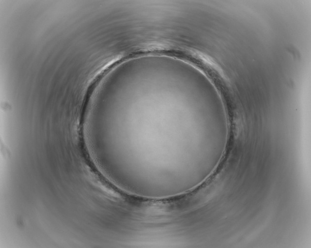 X0000091231217200708091412